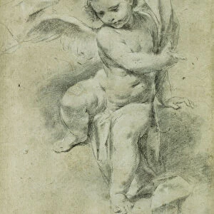 An Angel, (black and white chalk on light brown paper)