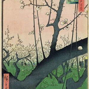 Branch of a Flowering Plum Tree (colour woodblock print)
