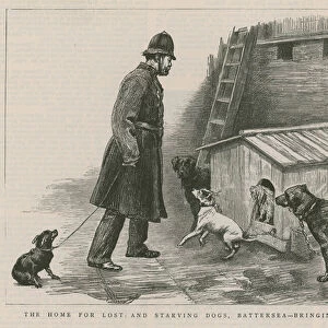 The home for lost and starving dogs (engraving)