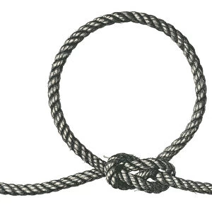 Illustration of a Rope Noose, 1937 (screen print)
