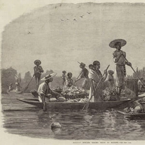 Mexican Indians taking Fruit to Market (engraving)