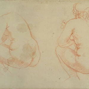 Studies of Female Nudes (red chalk)