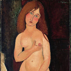 Venus or Standing Nude or Nude Medici; Venus (Nu debout, nu medicis), 1917 (oil on canvas)