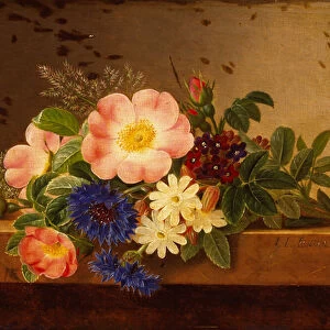 Wild Flowers, Cornflowers and other Flowers on a Ledge (oil on canvas)