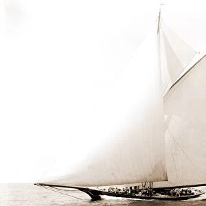 Katrina, Katrina (Yacht), Morgan Cup race, Regattas, Yachts, 1892
