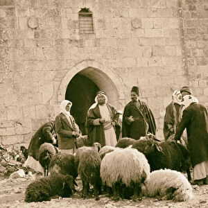 Sheep market Herod Gate 1934 Jerusalem Israel