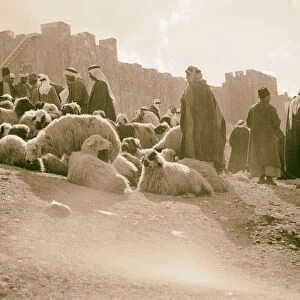 Sheep market Herod Gate 1934 Jerusalem Israel