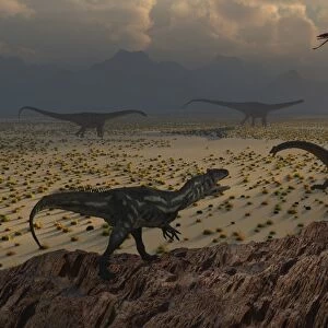 An Allosaurus dinosaur spies a group of young Diplodocus herbivores