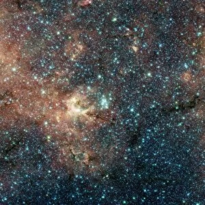 Massive Star Cluster