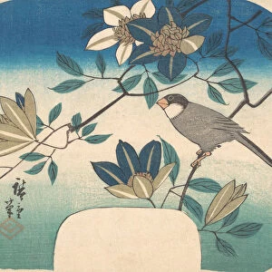 Clematis and Bird, 1852. 1852. Creator: Ando Hiroshige