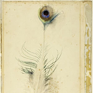 Peacock Feather, 1877. Creator: John Ruskin