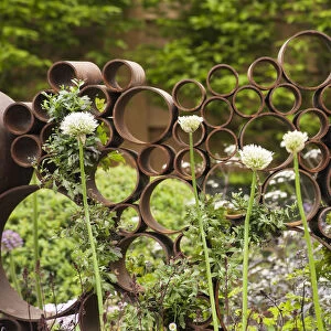Chelsea Flower Show 2013, The SeeAbility garden, Designer Darren Hawkes Landscapes