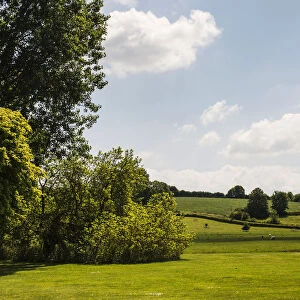 Meadow, view across typical English country landscape
