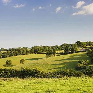 Meadow, view across typical english landscape with blue sky