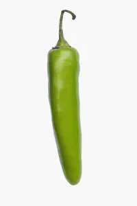 Chilli, Serrano Chili, Capsicum annuum Serrano, Studio shot of green fruit against Chilli, Serrano Chili, Capsicum annuum Serrano, Studio shot of green fruit against