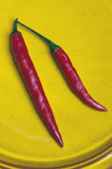 Red Jalapeno chilli, Capsicum annuum, Close view of two chillies viewed from above on a Red Jalapeno chilli, Capsicum annuum, Close view of two chillies viewed from above on a
