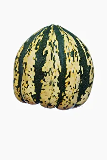 Squash, Winter squash Sweet Dumpling, Cucurbita pepo Sweet Dumpling Squash, Winter squash Sweet Dumpling, Cucurbita pepo Sweet Dumpling