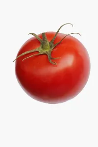 Tomato, Beef tomato, Lycopersicon cultivar, Studio shot of red fruit against white background Tomato, Beef tomato, Lycopersicon cultivar, Studio shot of red fruit against white background